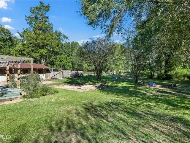 a view of backyard with green space