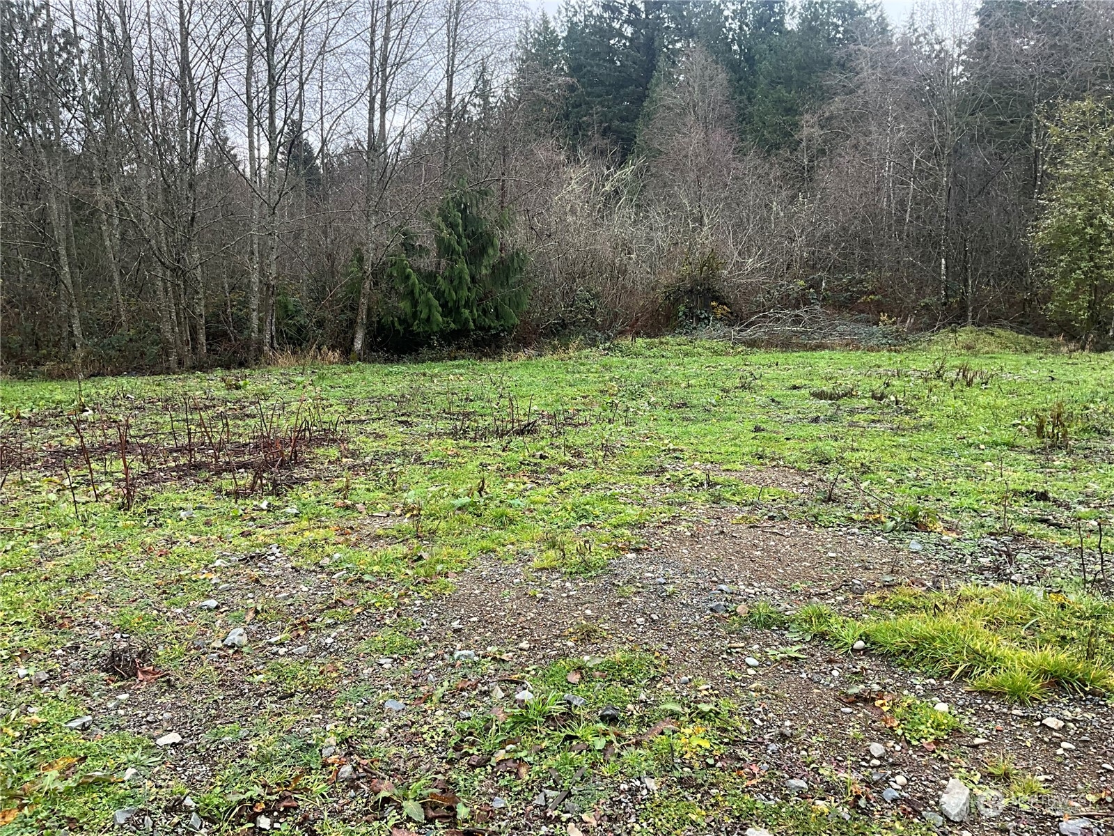 29723 Heimer Road Arlington, WA 98223 - Photo 8 of 13 Gallery Image 8