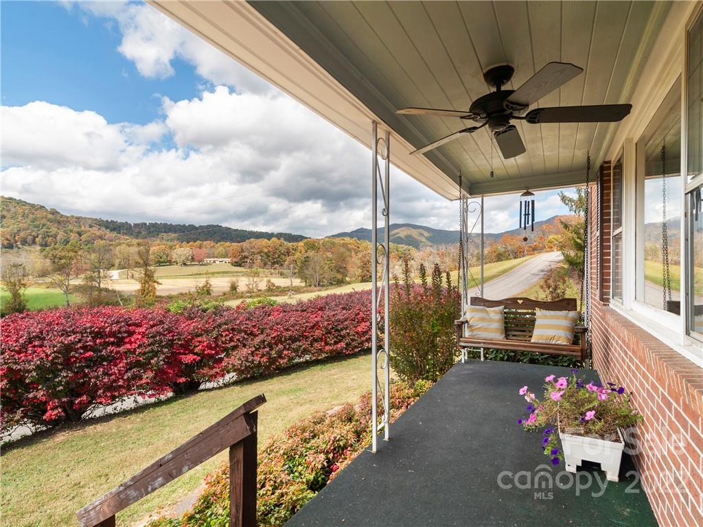 50 Farm House Road Canton, NC 28716 - Photo 5 of 29 a view of a balcony with a potted plant
