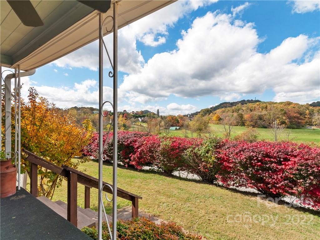 50 Farm House Road Canton, NC 28716 - Photo 6 of 29 a view of a flowers in a balcony