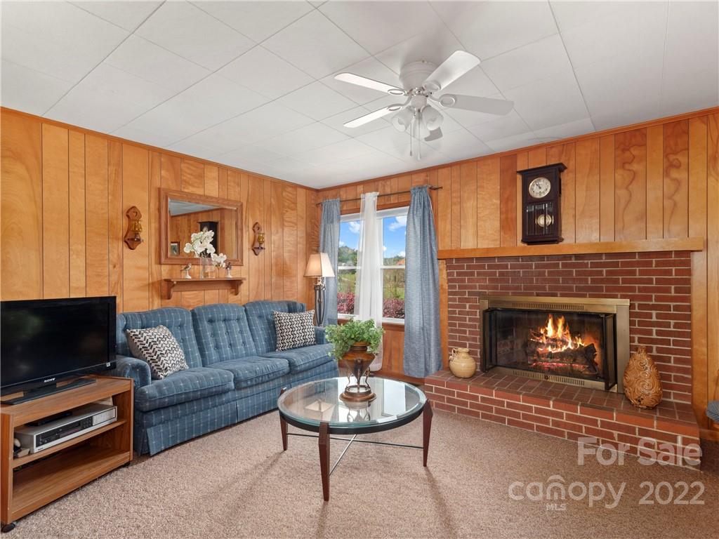 50 Farm House Road Canton, NC 28716 - Photo 9 of 29 a living room with furniture a flat screen tv and a fireplace
