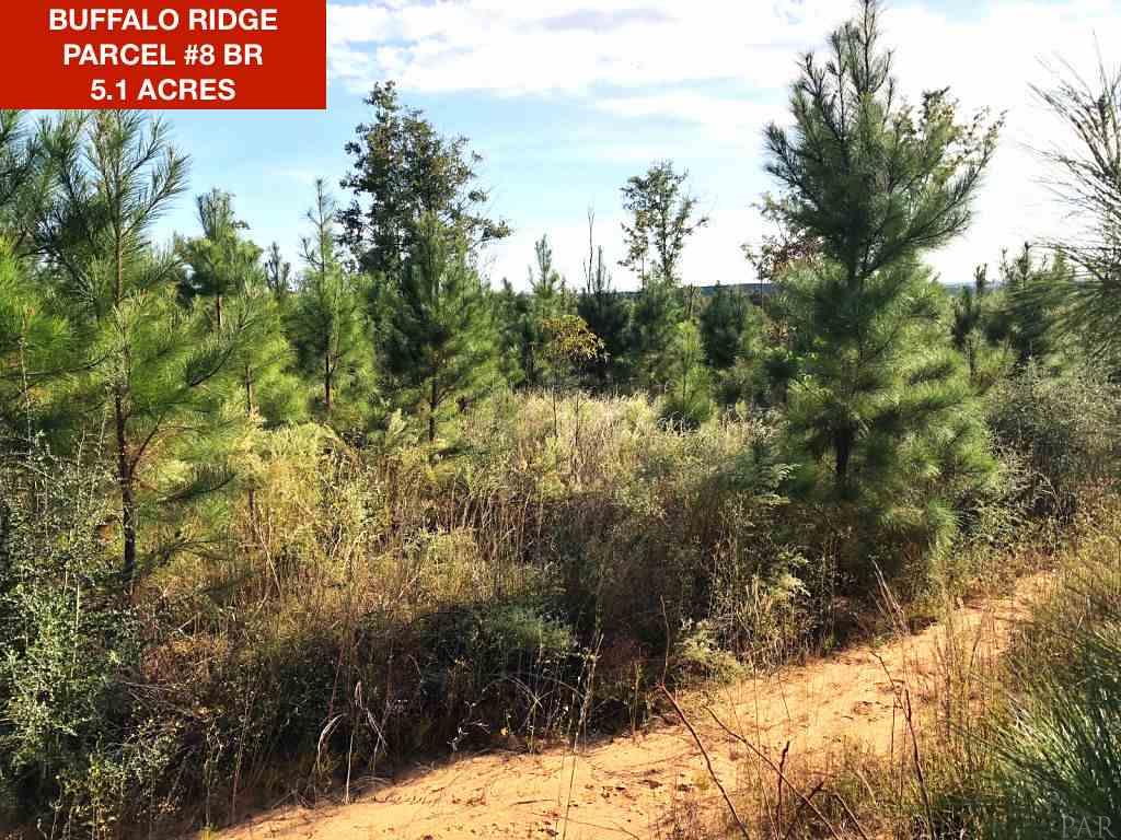 Lot 8-br Molino Bridge Road Pace, FL 32571 - Photo 1 of 5 Gallery Image 1