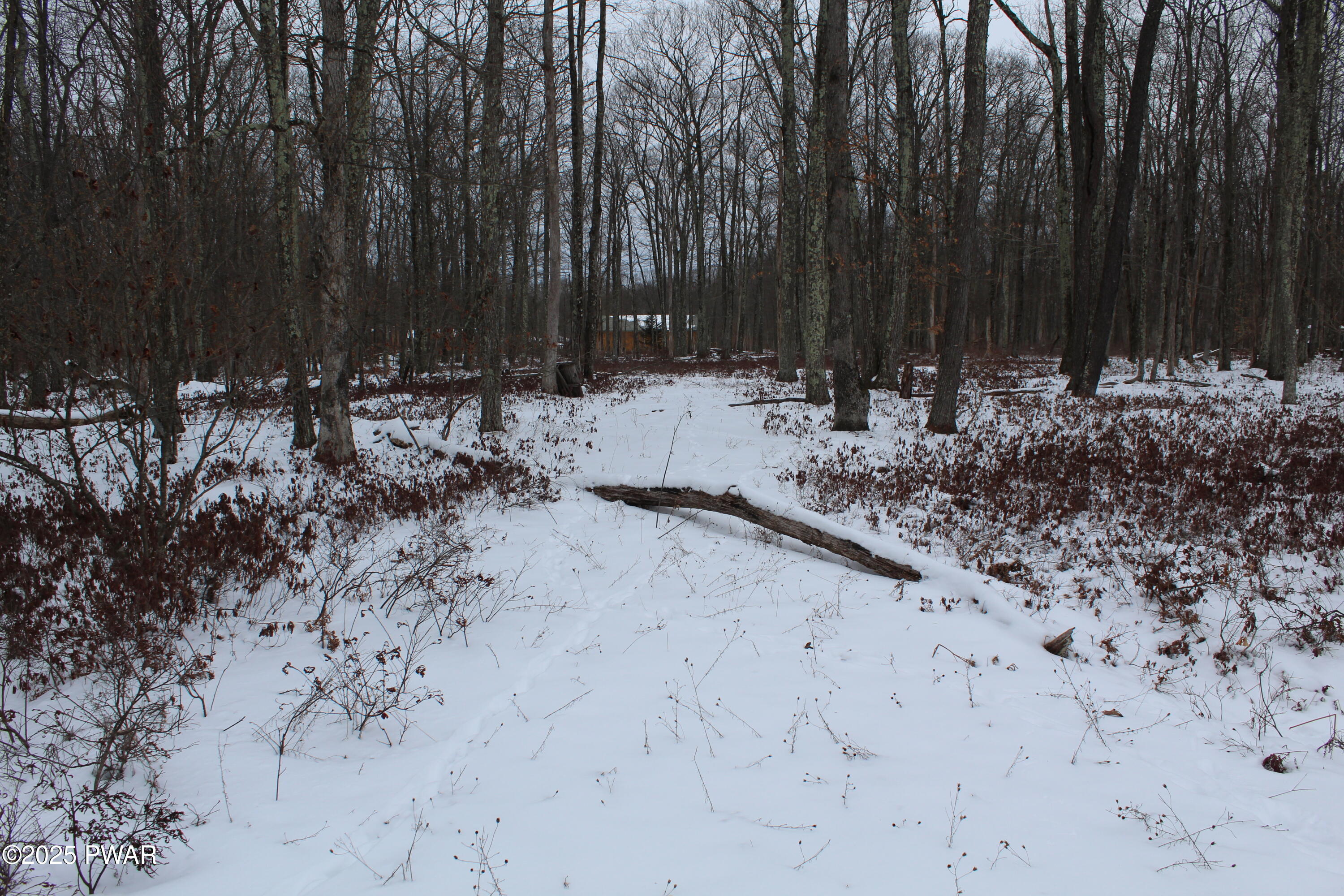 Lot 133 Ironwood & Ruff Road Canadensis, PA 18325 - Photo 6 of 17 Driveway cut in off of Ruff Road