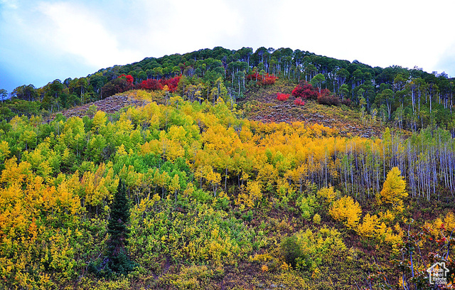 Middle Fork Huntsville, UT 84317 - Photo 1 of 26 View of mountain background featuring a heavily wooded area