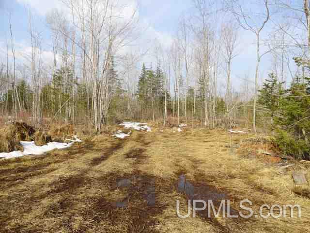 Diffin Grade Trenary, MI 49891 - Photo 9 of 9 Gallery Image 9