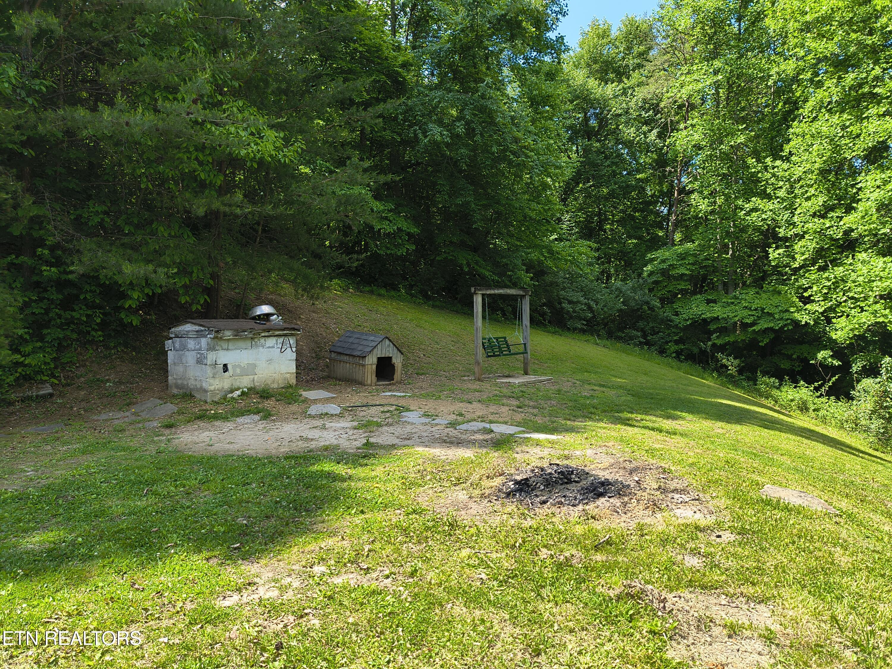 3552 Straight Fork Road Huntsville, TN 37756 - Photo 9 of 44 1000002828