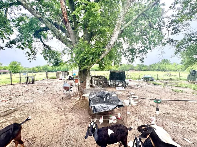 a view of yard with patio