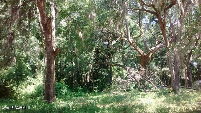 27-33 Tbd Roseida Road Beaufort, SC 29906 - Photo 2 of 6 IMG_20180627_111121274