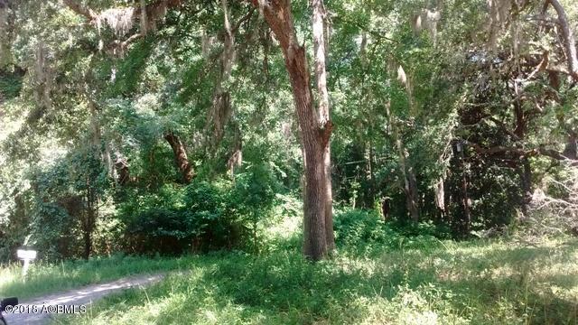 27-33 Tbd Roseida Road Beaufort, SC 29906 - Photo 3 of 6 IMG_20180627_111058318