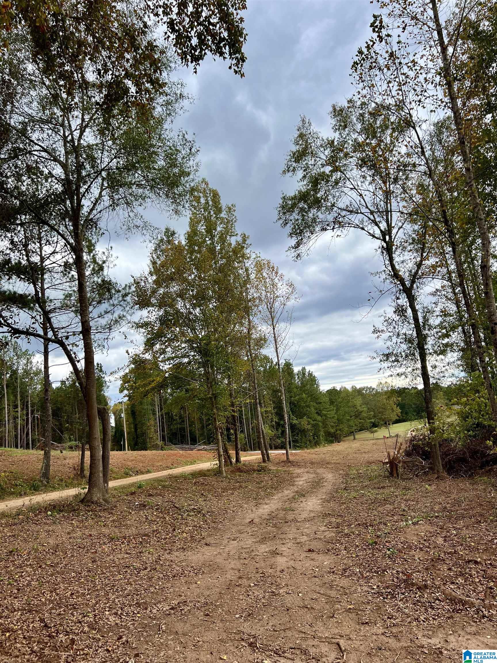 0 County Road 4 Wedowee, AL 36278 - Photo 22 of 24