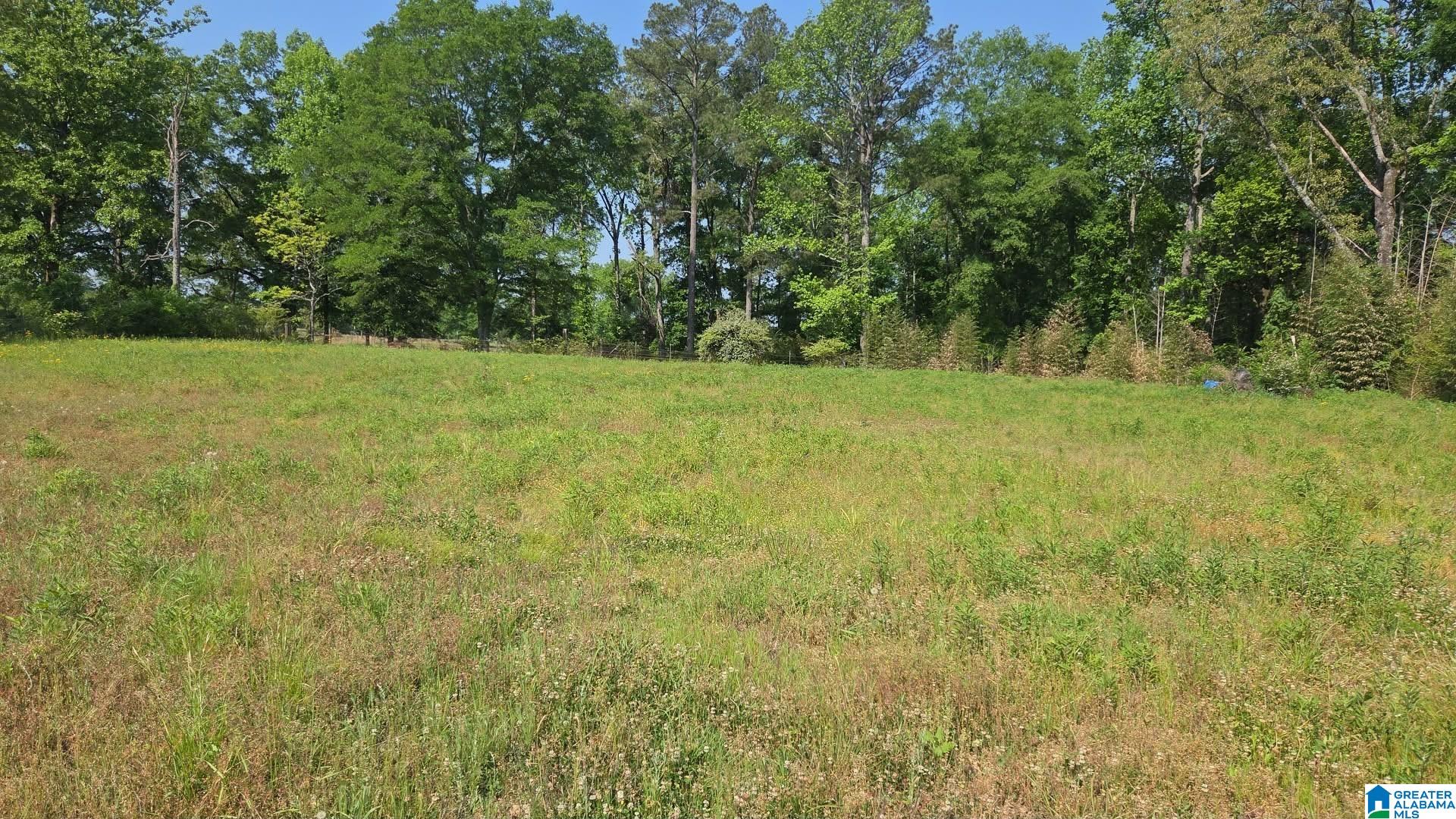10997 Vance Blocton Road Vance, AL 35490 - Photo 1 of 5