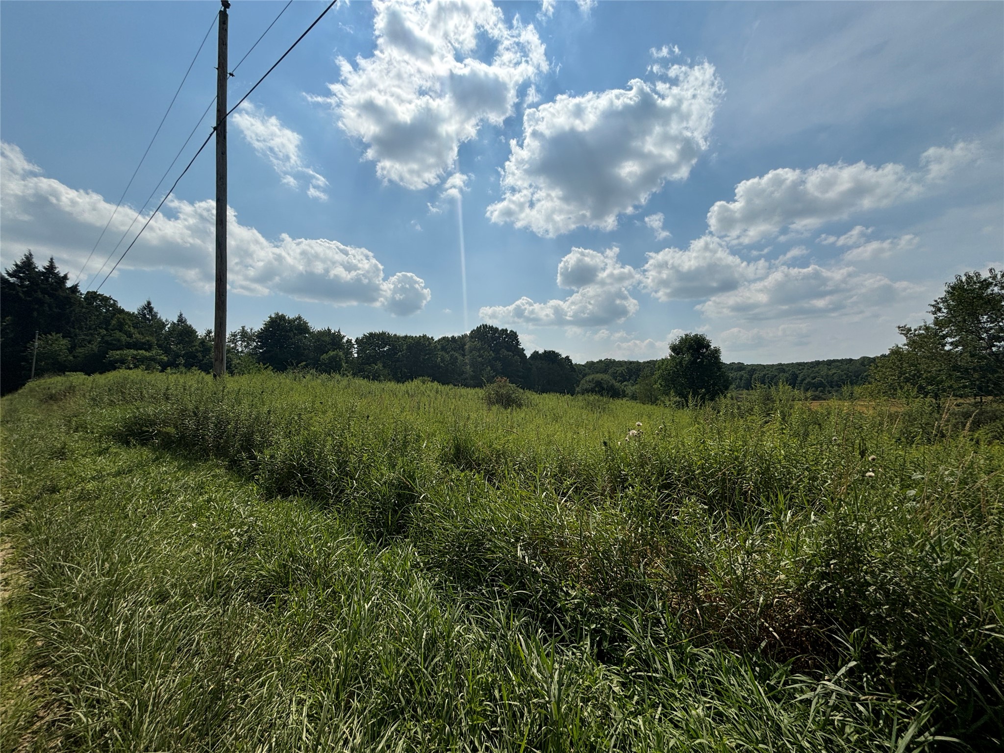 0 Inlet Road Conneautville, PA 16406 - Photo 10 of 13 Gallery Image 10
