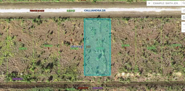 $49,900 | Calliandra Dr Lake, Frostproof, FL 33843