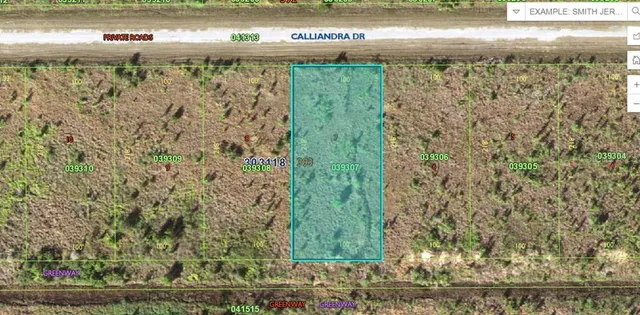 $49,900 | Calliandra Dr Lake, Frostproof, FL 33843