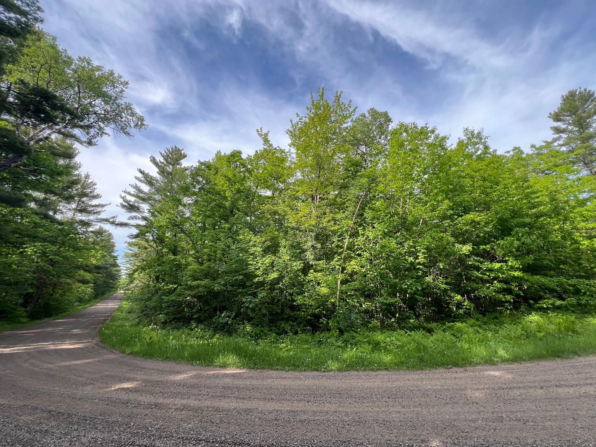 Tbd Smith Road Couderay, WI 54828 - Photo 19 of 23