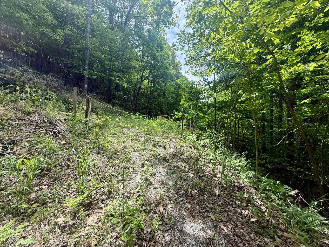 Lot 8 A/8b Dunlukin Dr Spring Spring City, TN 37381 - Photo 25 of 27 25