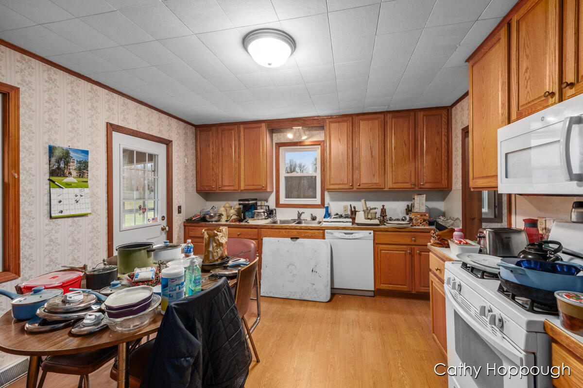 3036 Palmer Road Orleans, MI 48865 - Photo 6 of 28 IMG_1005