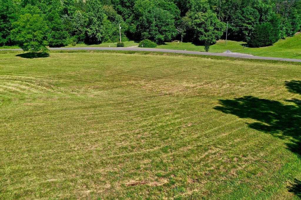 386 County Road 181 Decatur, TN 37322 - Photo 29 of 70 a view of an ocean from a yard