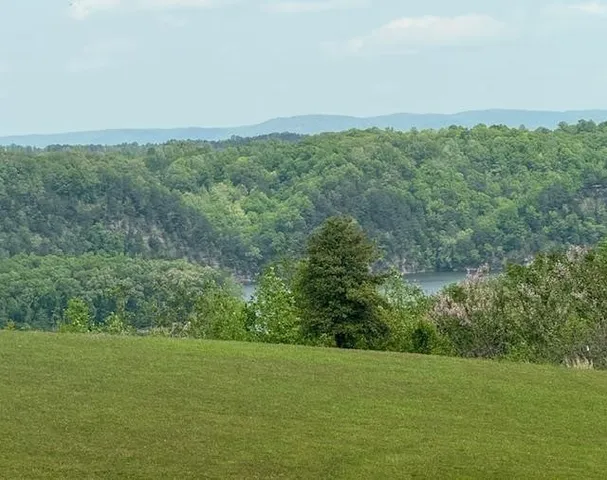 a view of a field with an trees