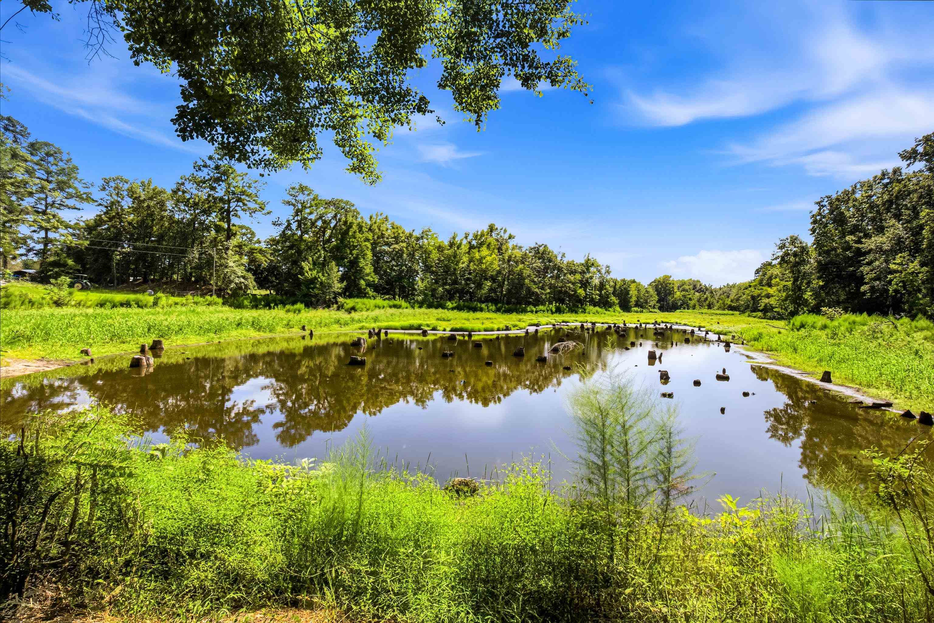 1569 Dave Plowden Pond Road Manning, SC 29102 - Photo 90 of 92 Gallery Image 90