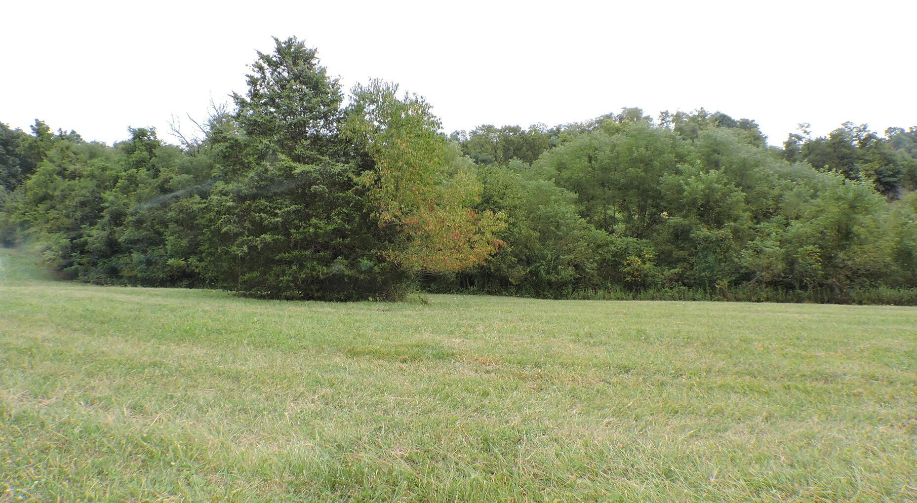 2689 Rogers Mill Road Mount Sterling, KY 40353 - Photo 27 of 40 DSCN9304
