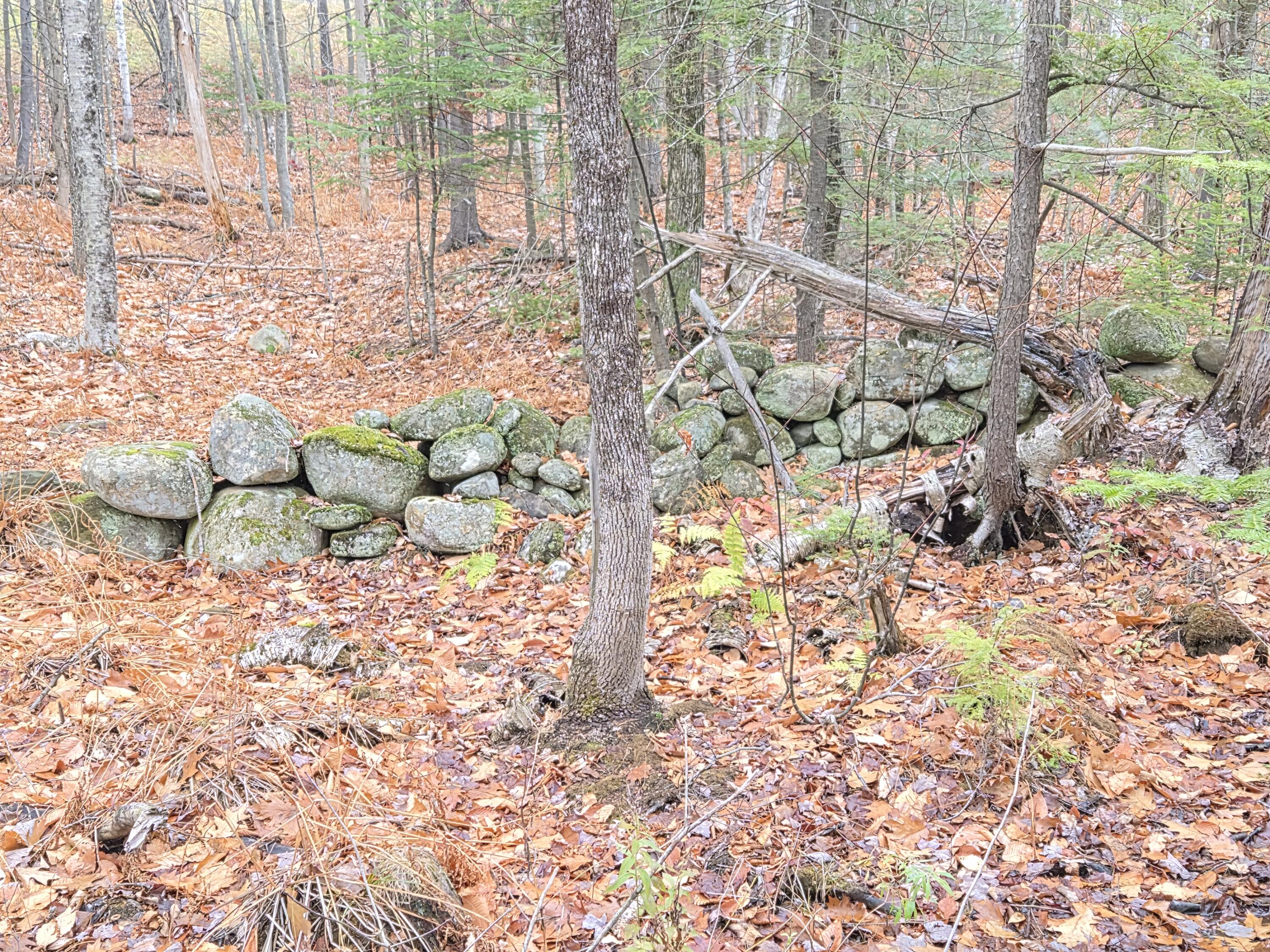 4 Wilton Me 04294 Jay, ME 04239 - Photo 5 of 12 20251111_131319