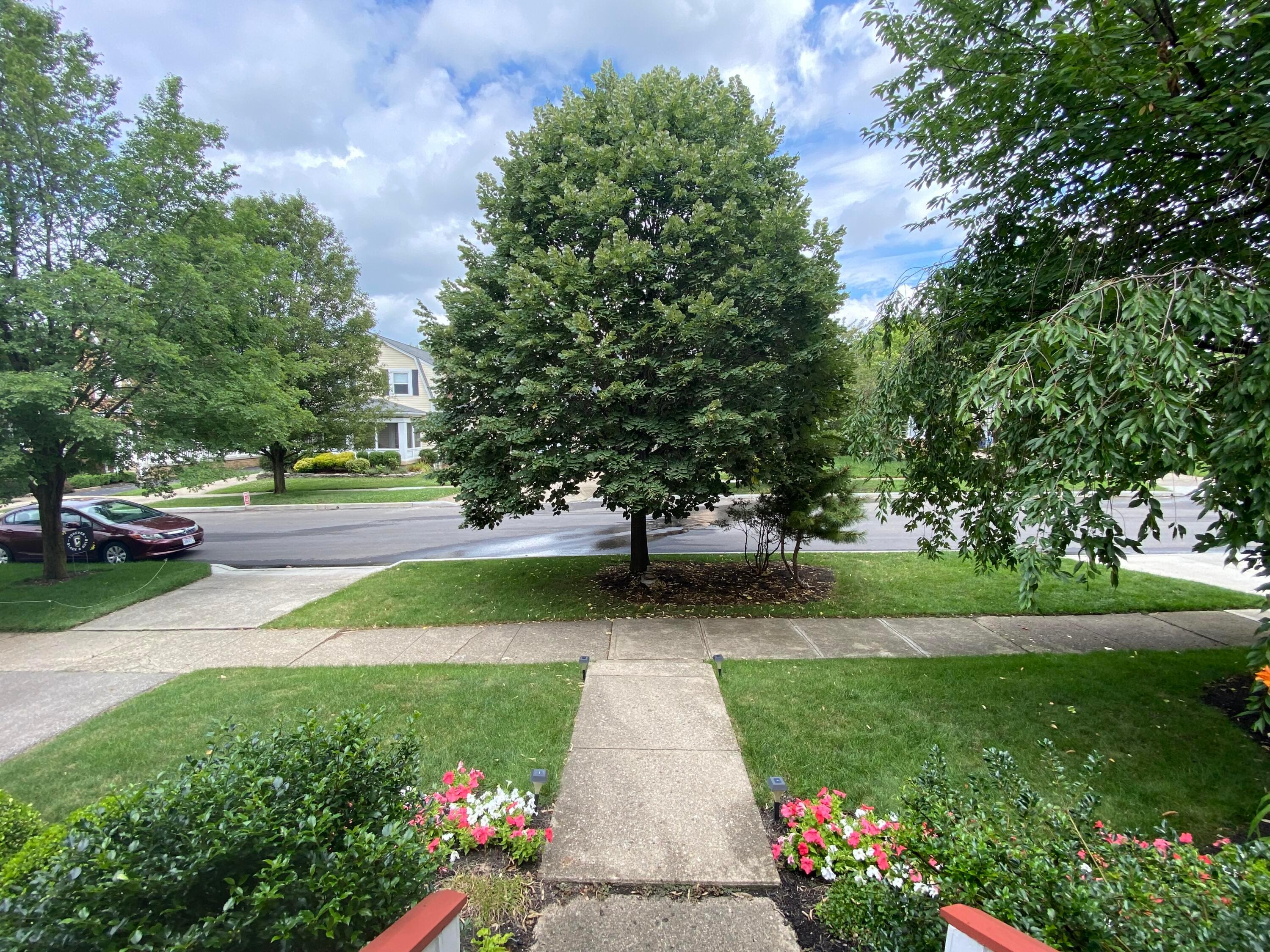 161 Arden Road Columbus, OH 43214 - Photo 6 of 71 Gallery Image 6