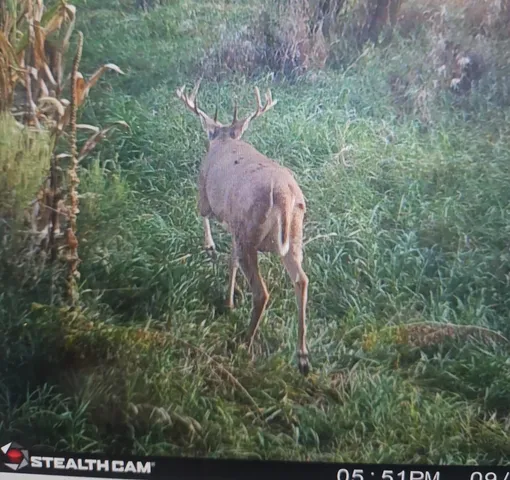 $585,000 | Lt2 Johnson Lane, Oconomowoc, WI 53066