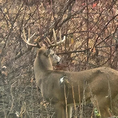 $585,000 | Lt2 Johnson Lane, Oconomowoc, WI 53066