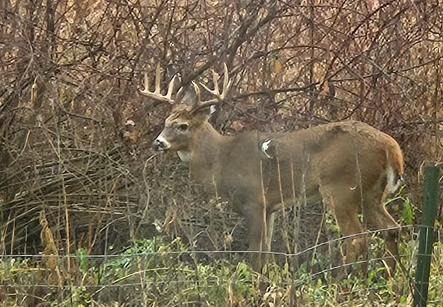 $585,000 | Lt2 Johnson Lane, Oconomowoc, WI 53066