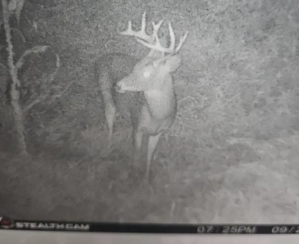 $585,000 | Lt2 Johnson Lane, Oconomowoc, WI 53066