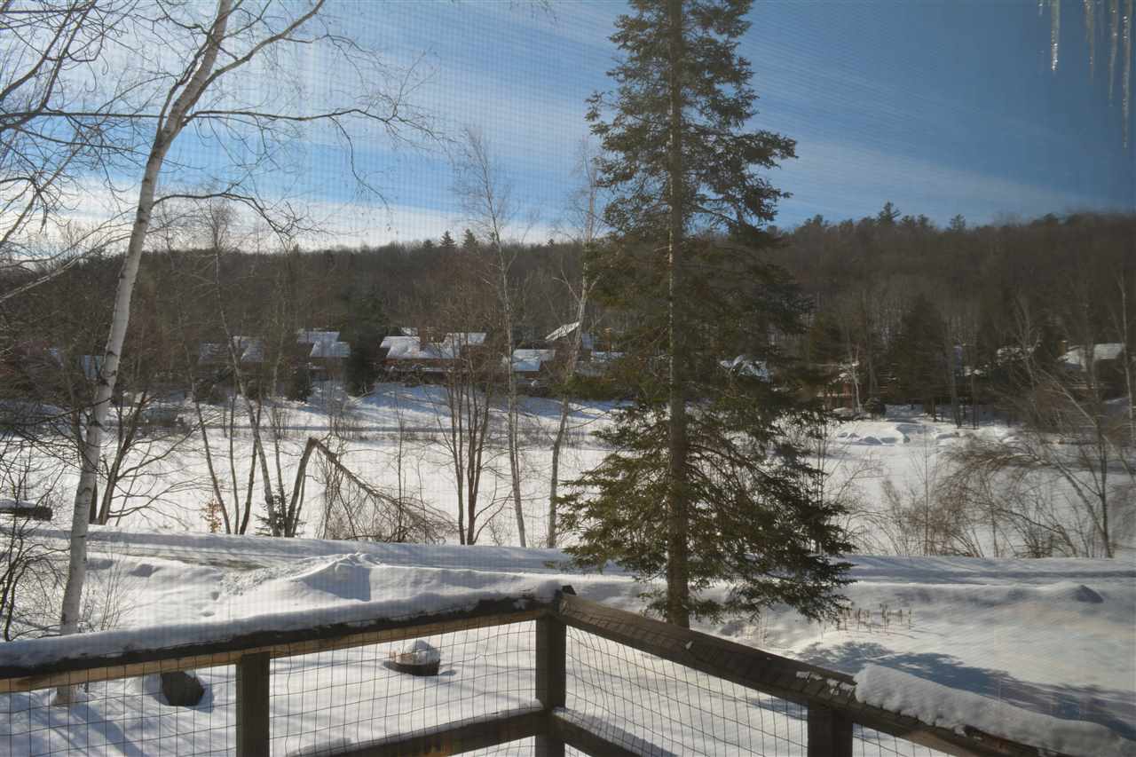 615 Otter Road, Unit D15 Grantham, NH 03753 - Photo 1 of 26 Gallery Image 1