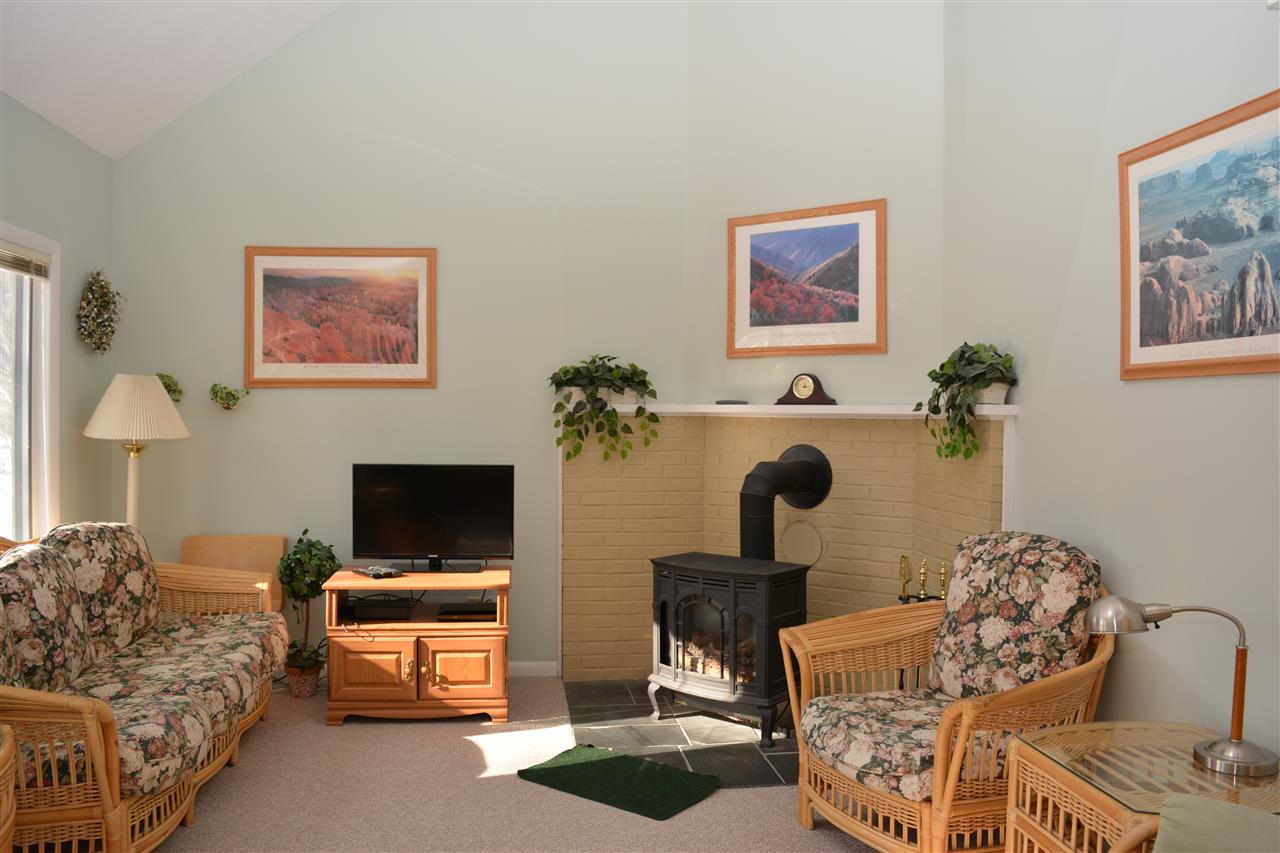 615 Otter Road, Unit D15 Grantham, NH 03753 - Photo 8 of 26 Gallery Image 8