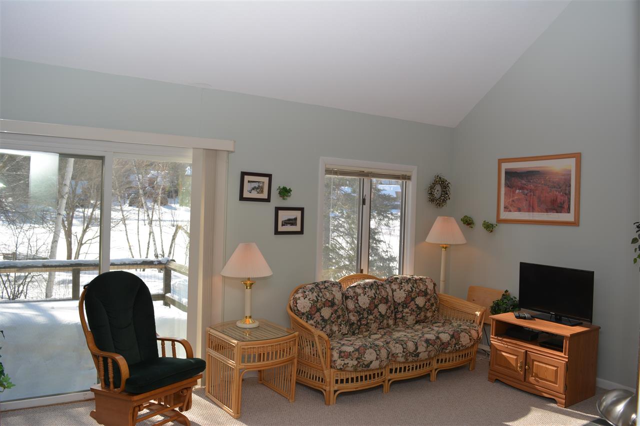 615 Otter Road, Unit D15 Grantham, NH 03753 - Photo 9 of 26 Gallery Image 9