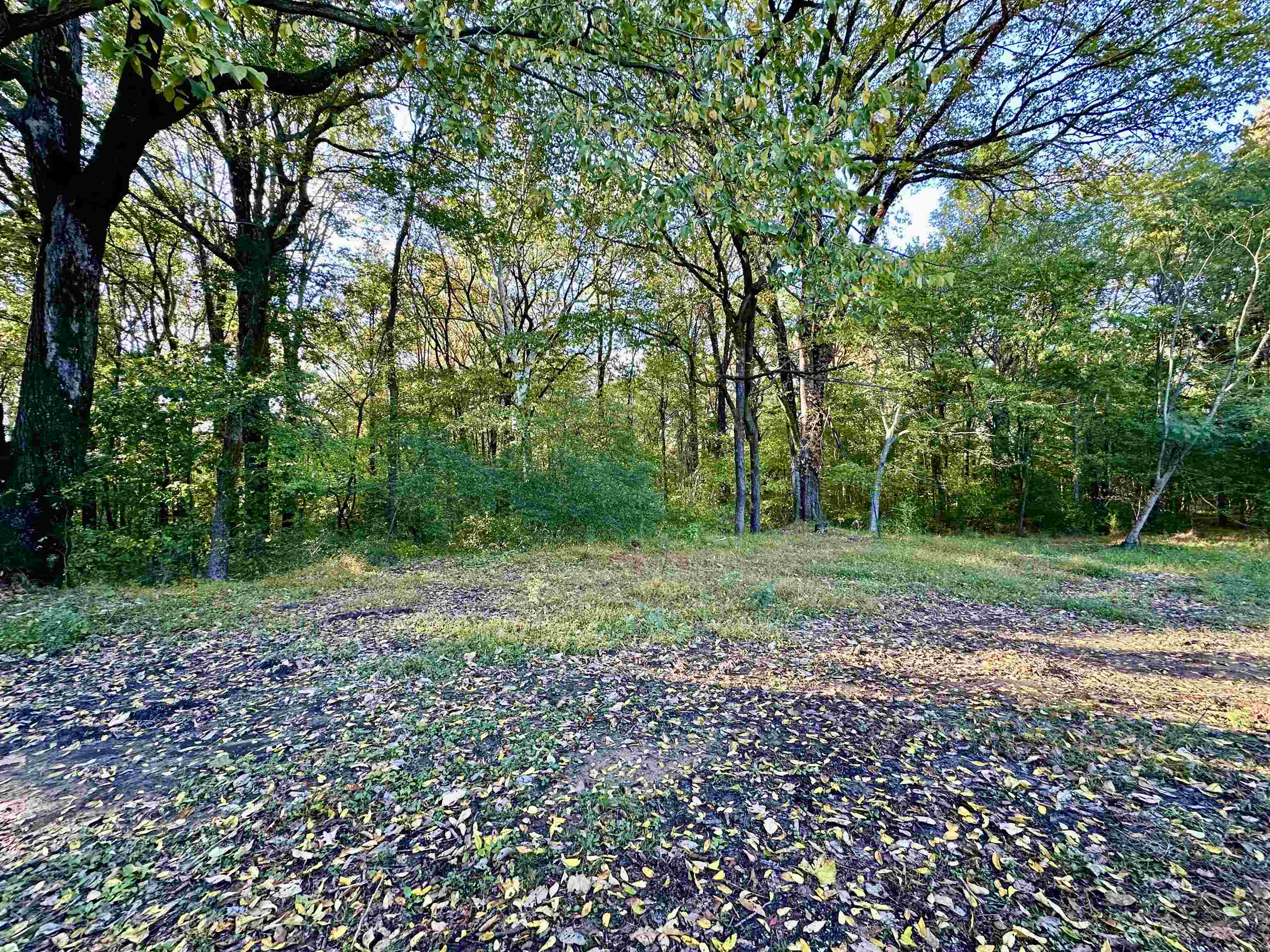 249 Mignon Road Atoka, TN 38004 - Photo 8 of 28 View of local wilderness