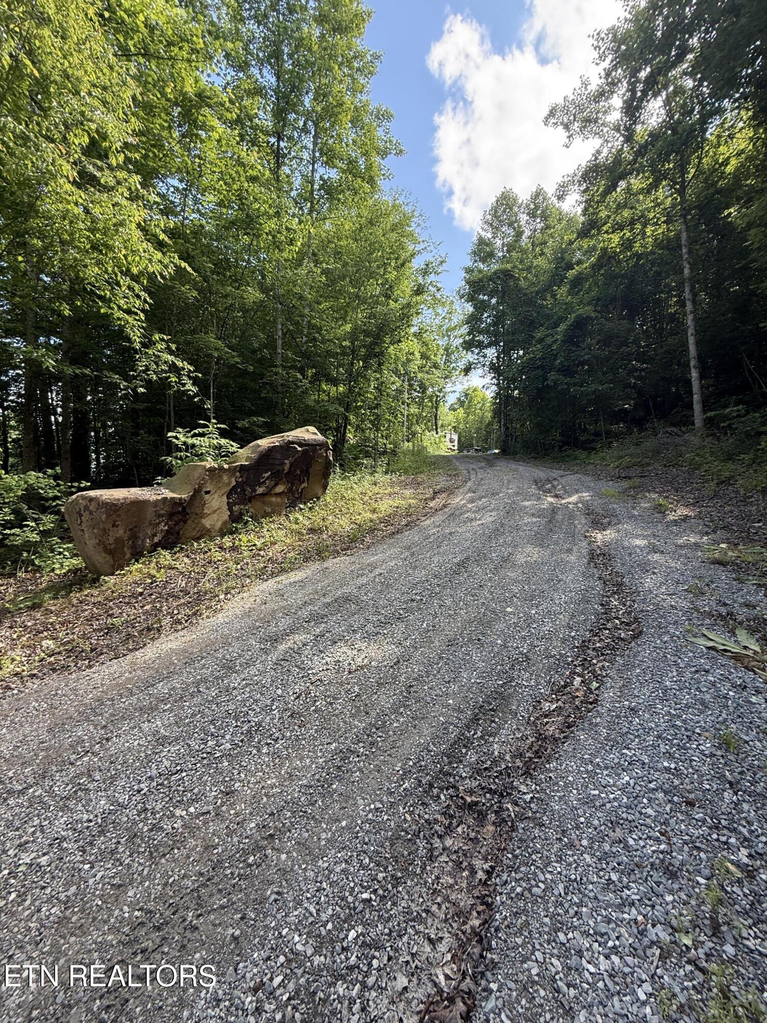 549 Defender Road La Follette, TN 37766 - Photo 42 of 42 Driveway