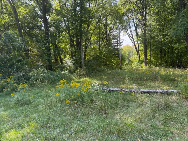 $34,900 | Vl Carol Street, Newaygo, MI 49337