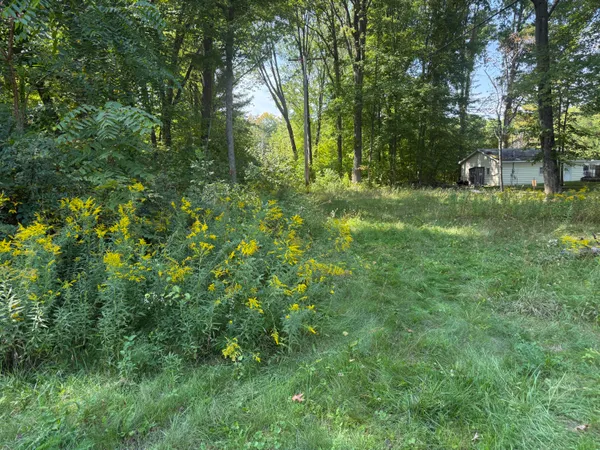 $34,900 | Vl Carol Street, Newaygo, MI 49337