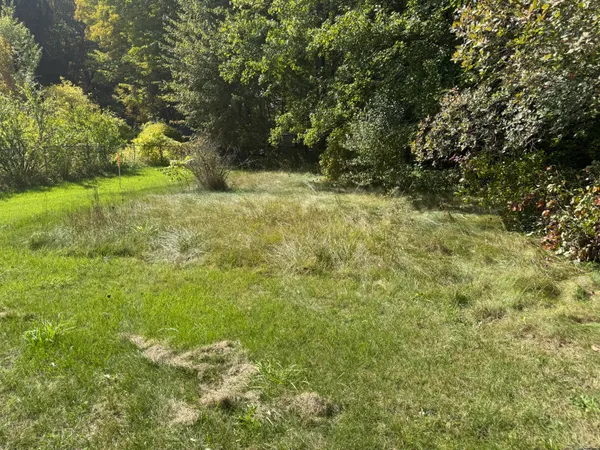 $34,900 | Vl Carol Street, Newaygo, MI 49337