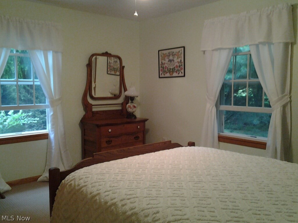 2621 Forman Road Austinburg, OH 44010 - Photo 9 of 25 Gallery Image 9