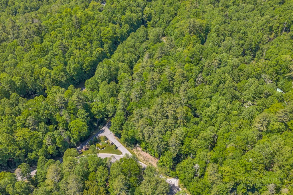 Lot 36 Daisy Ridge Road Banner Elk, NC 28604 - Photo 32 of 34 Gallery Image 32