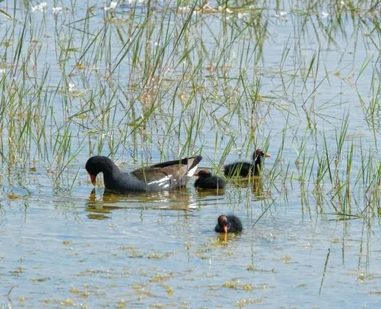 $209,900 | 9540 Southeast 49th Terrace, Webster, FL 33597