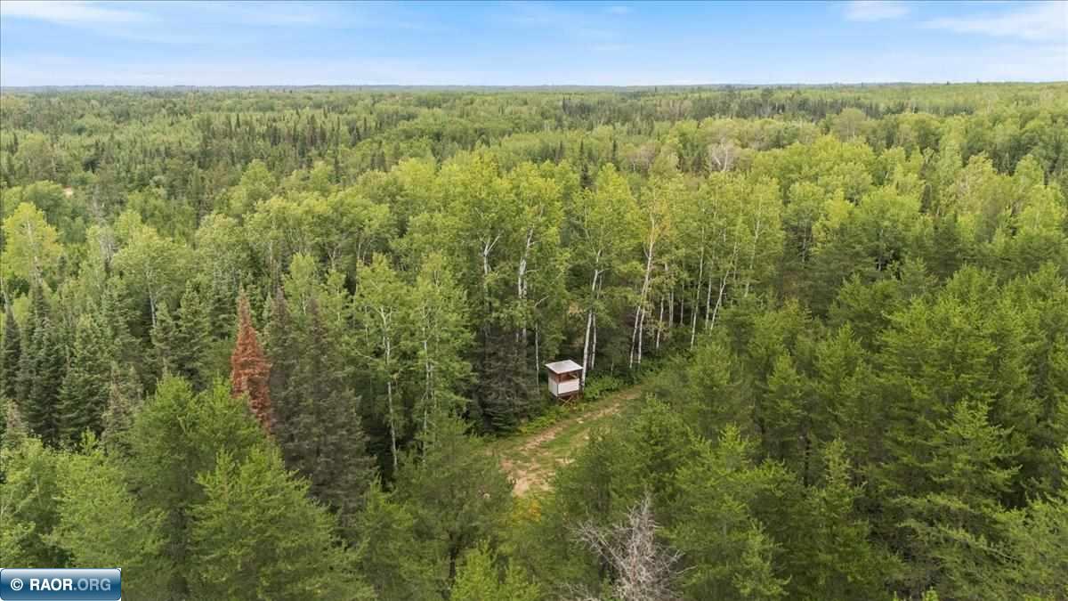 Tbd Pulkinen Road Embarrass, MN 55732 - Photo 6 of 15