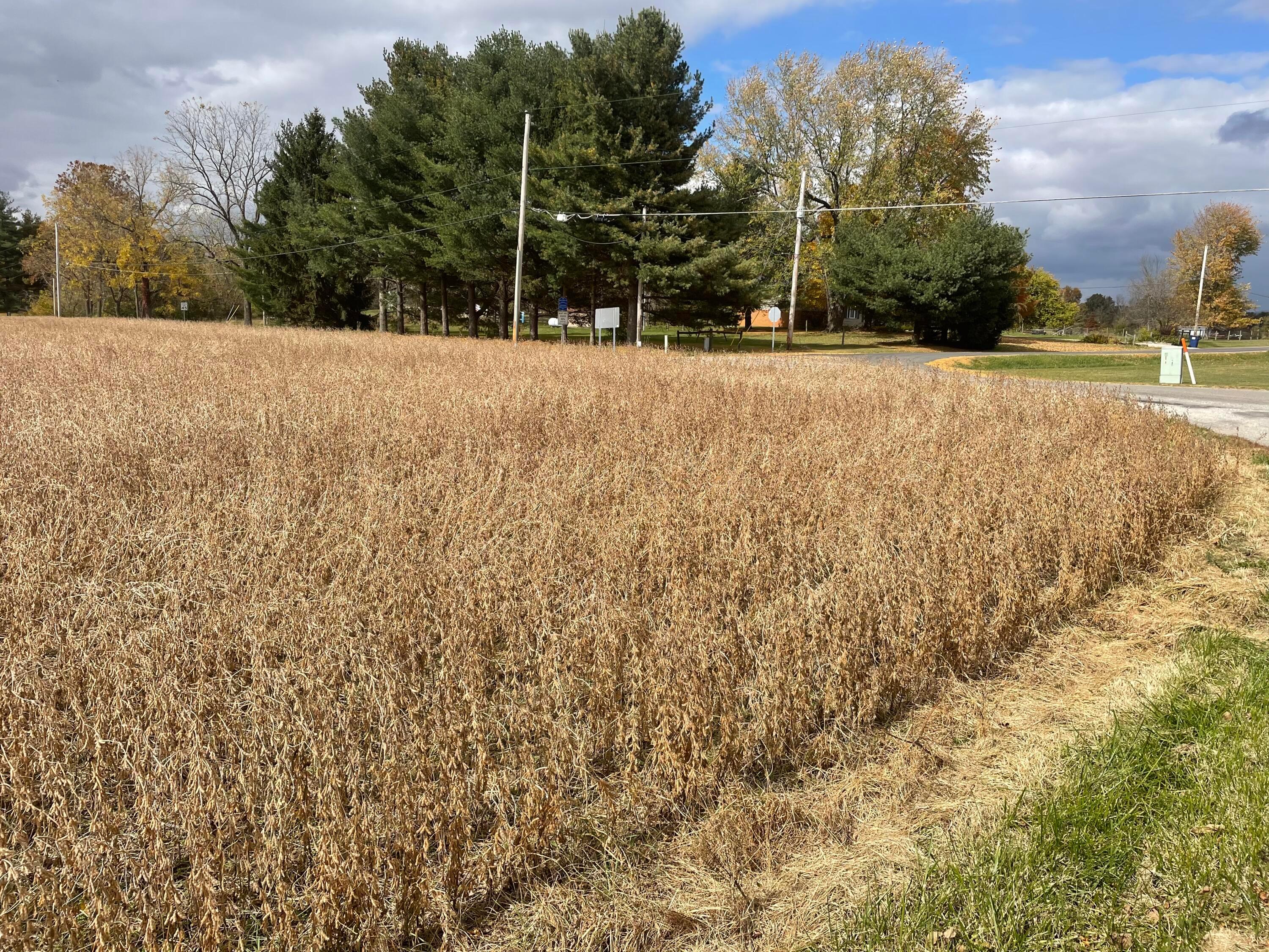0 Refugee Road Southwest Hebron, OH 43025 - Photo 7 of 9 BA5D0638-607A-41FE-B1DD-A43E24C2BB72