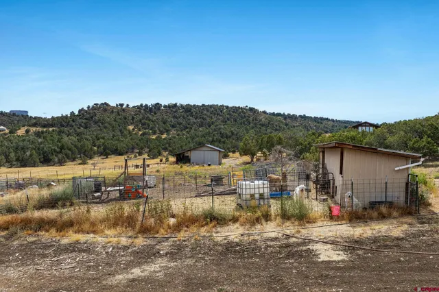 a view of a town with large trees