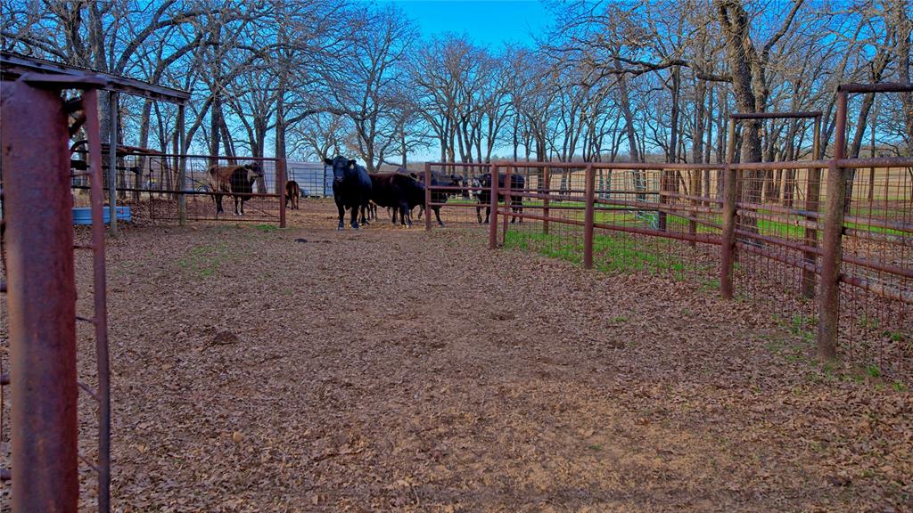 858 Ford Road Bowie, TX 76230 - Photo 21 of 40 a view of outdoor space with garden