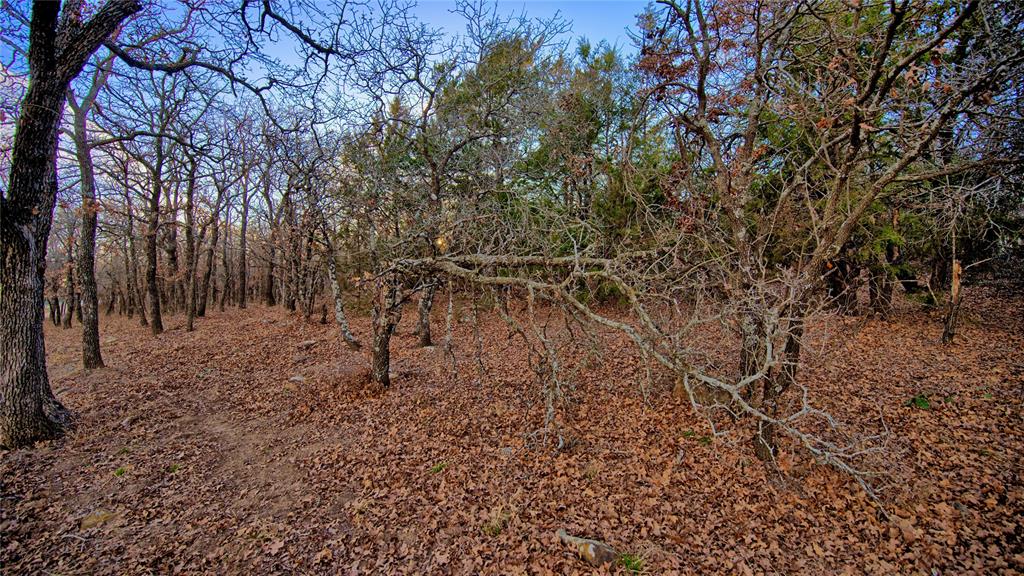 858 Ford Road Bowie, TX 76230 - Photo 36 of 40 a view of outdoor space
