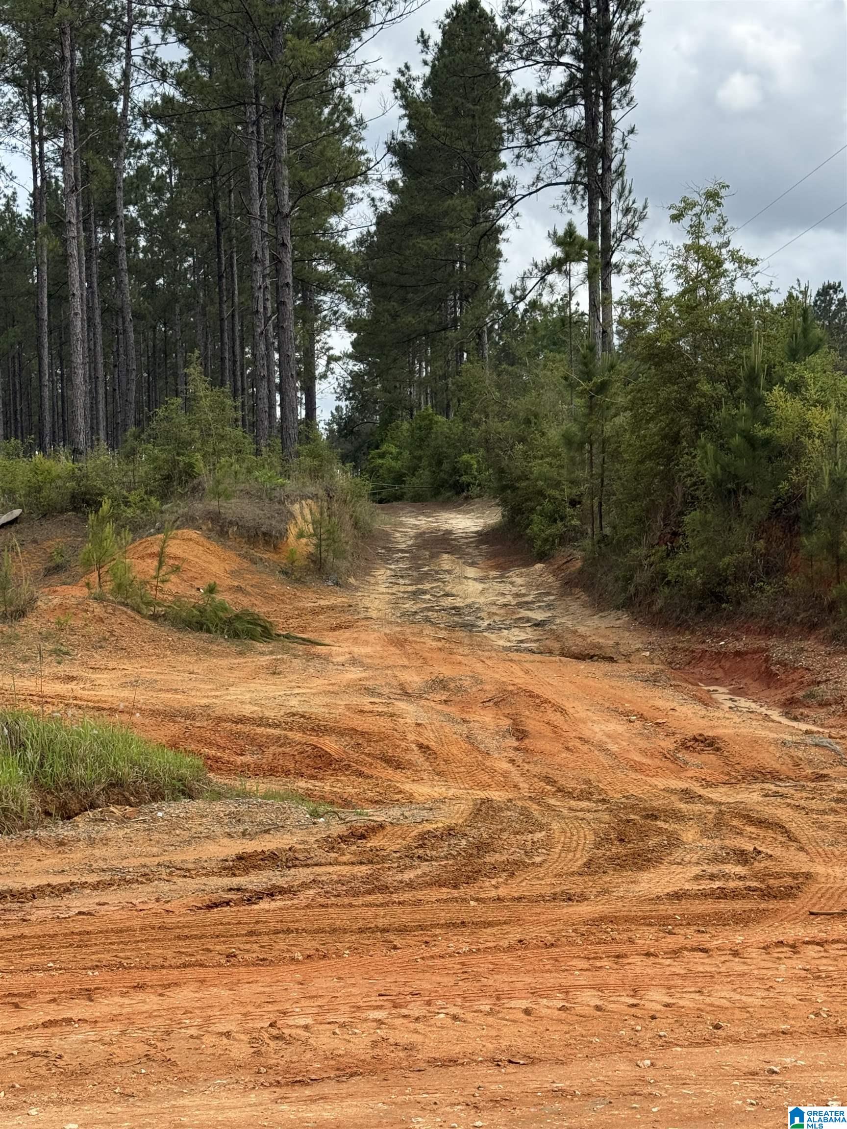 0 Truck Rte 17 Road Robertsdale, AL 36567 - Photo 3 of 4