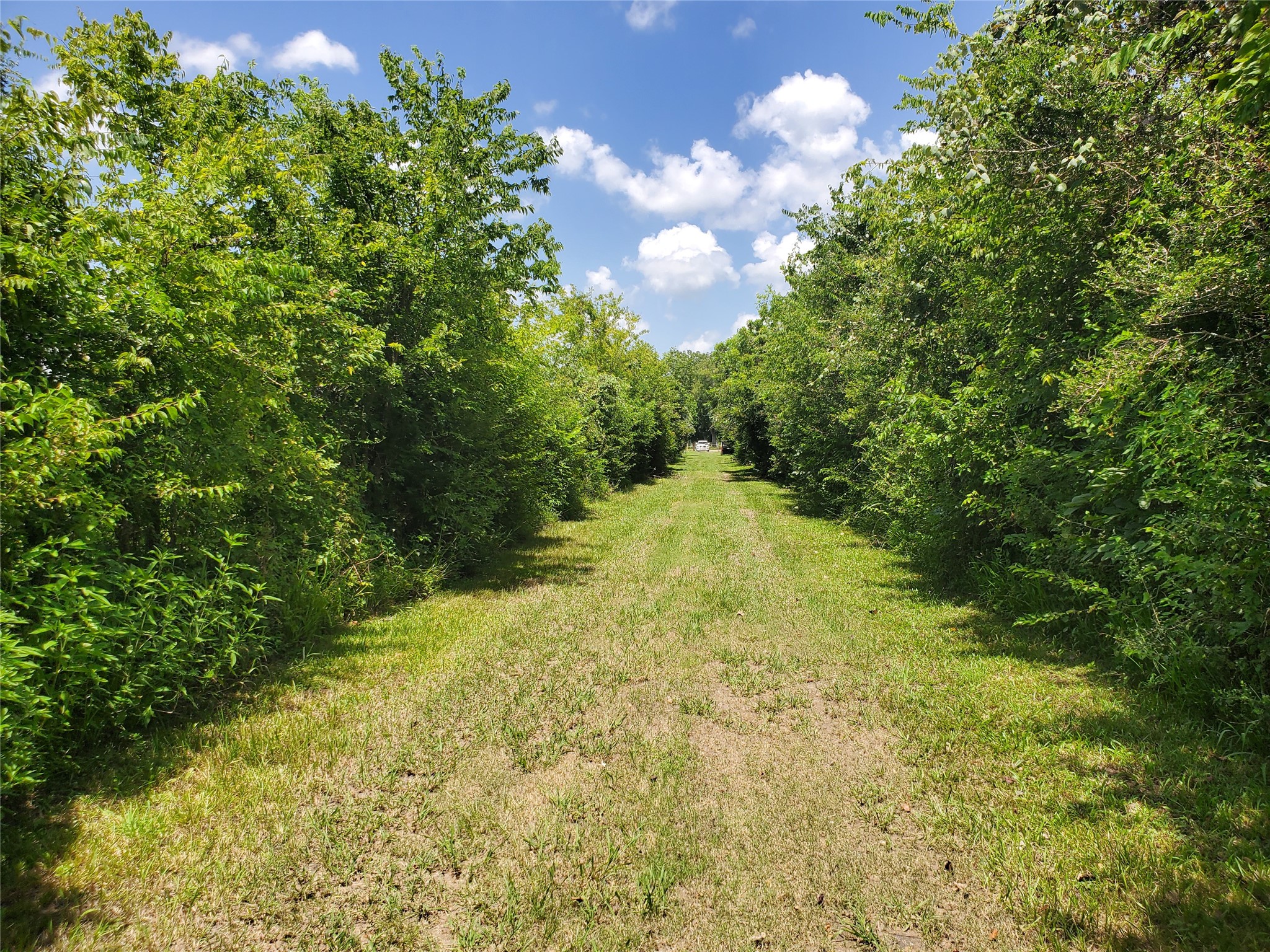 0 County Road 488B Sweeny, TX 77480 - Photo 2 of 11 a view of yard with green space