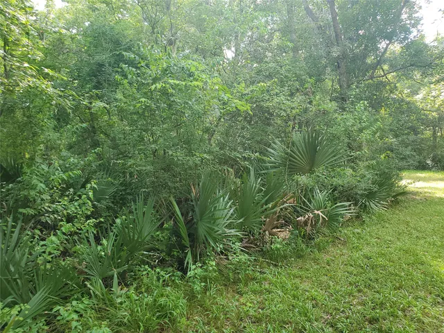 $475,000 | 0 County Road 488B, Sweeny, TX 77480